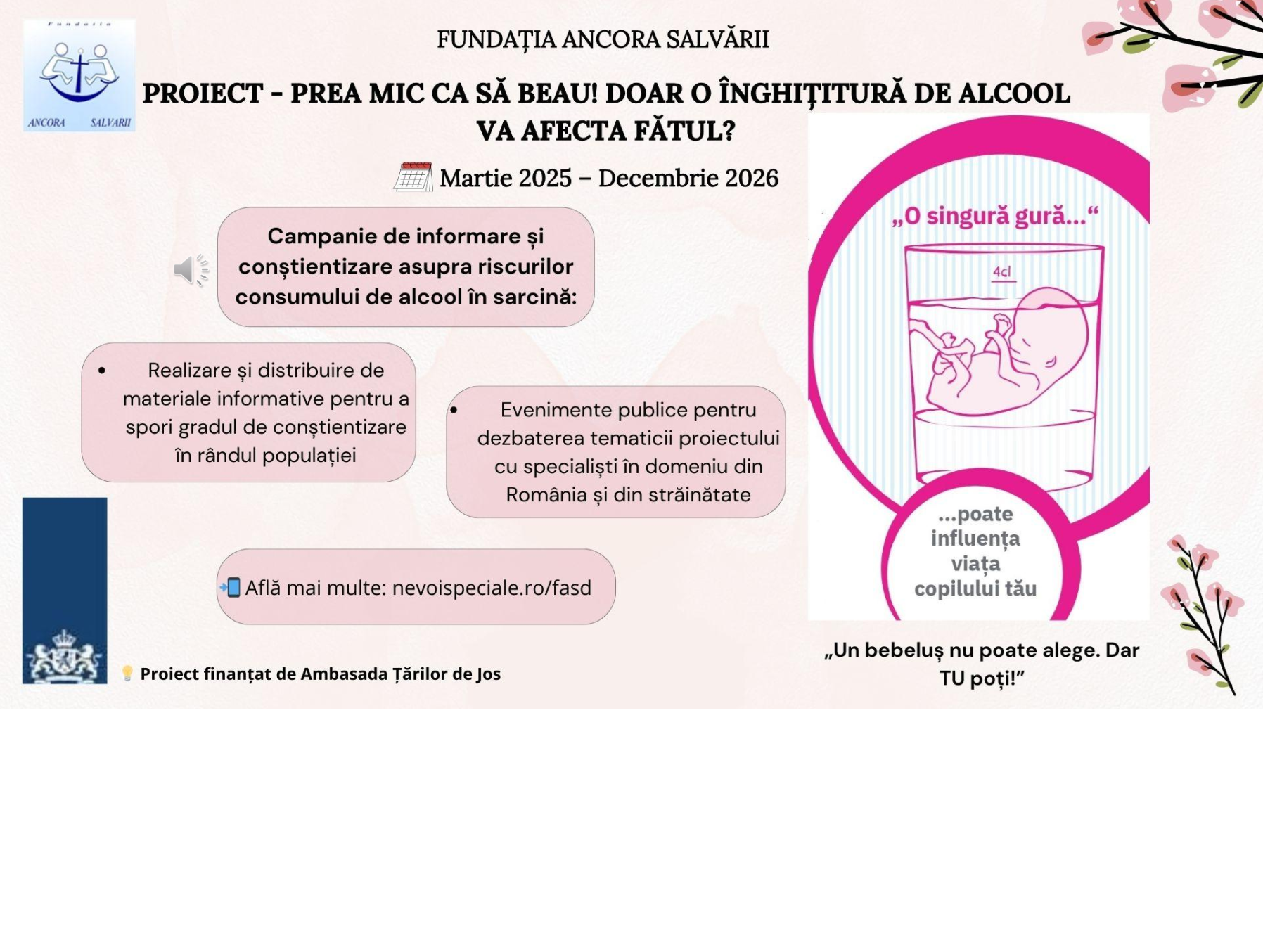TSAF lansare proiect